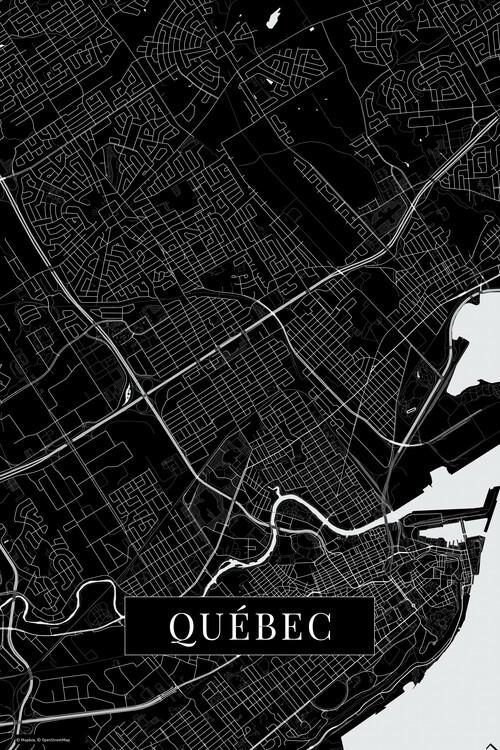 Poster Quebec black