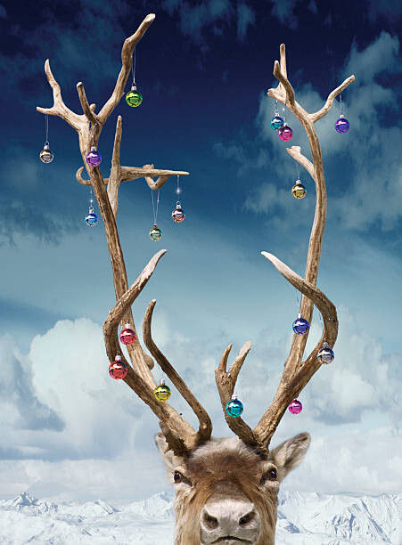 Poster Reindeer's antlers decorated with baubles, close-up