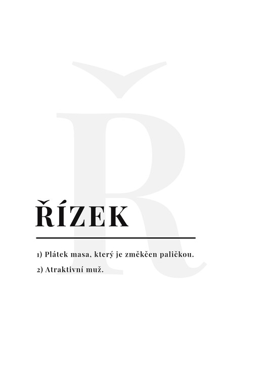 Poster Řízek