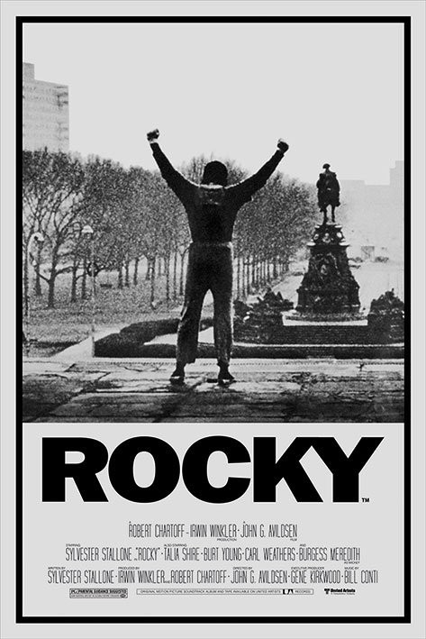 Image result for rocky 1
