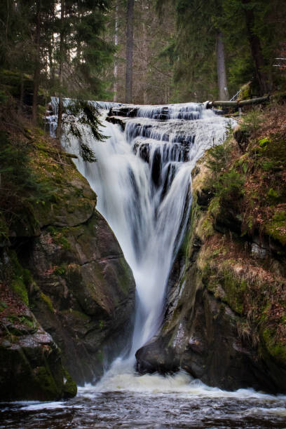 Poster Scenic view of waterfall in forest,Czech Republic