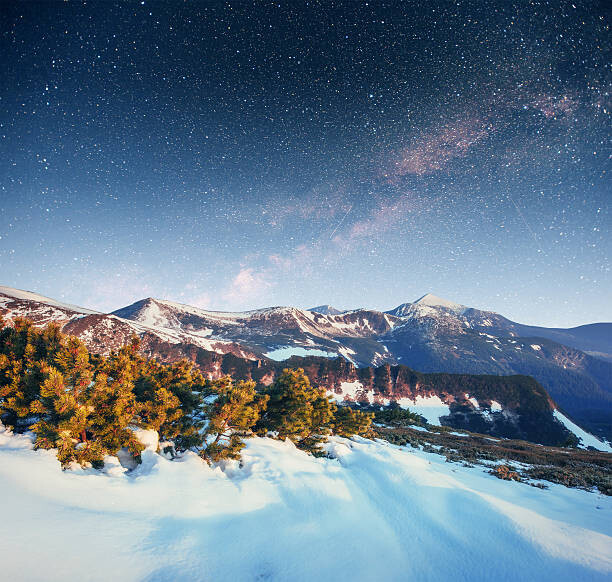 Poster starry sky in winter snowy night.