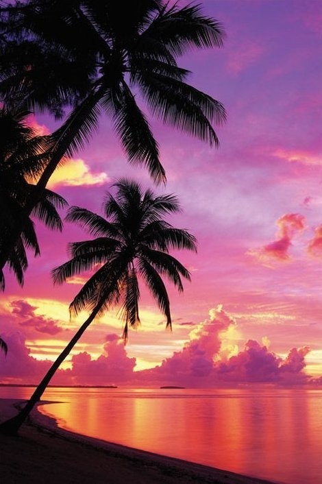 Tahitian Sunset Poster | Sold at Europosters