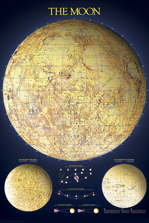 Poster The Moon