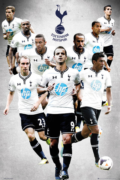 Poster, Quadro Tottenham Hotspur FC - Players 13/14 em