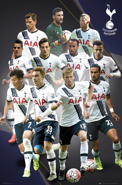 Poster Tottenham Hotspur FC - Players 14/15