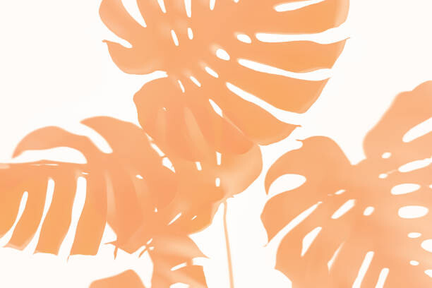 Poster Trendy Shadow of Tropical leaves of