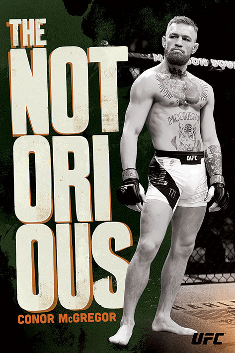 bygning Hvert år Vær forsigtig Poster UFC: Conor McGregor - Stance | Wall Art, Gifts & Merchandise |  Abposters.com