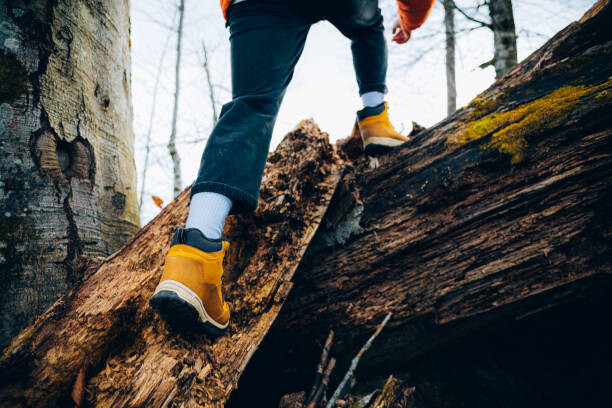 Poster Unrecognizable man climbs in the forest in autumn