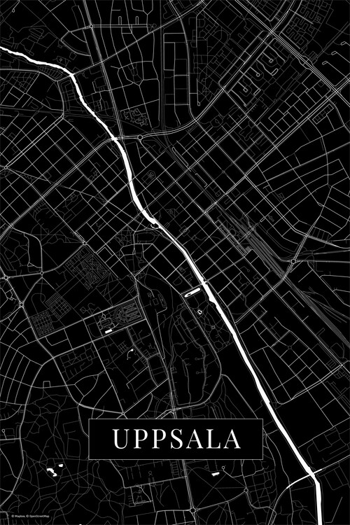 Poster Uppsala black