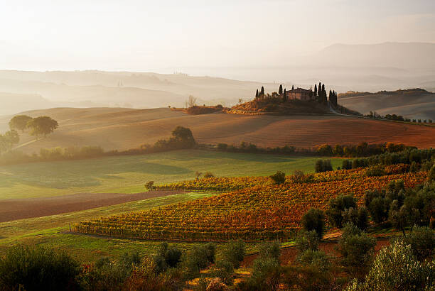 Poster View across Tuscan landscape.