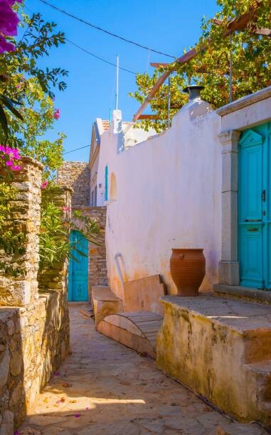 Poster View of house