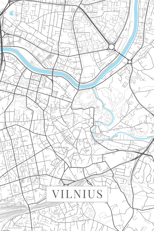 Poster Vilnius white