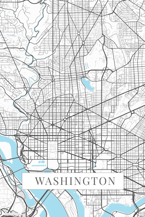 Poster Washington white