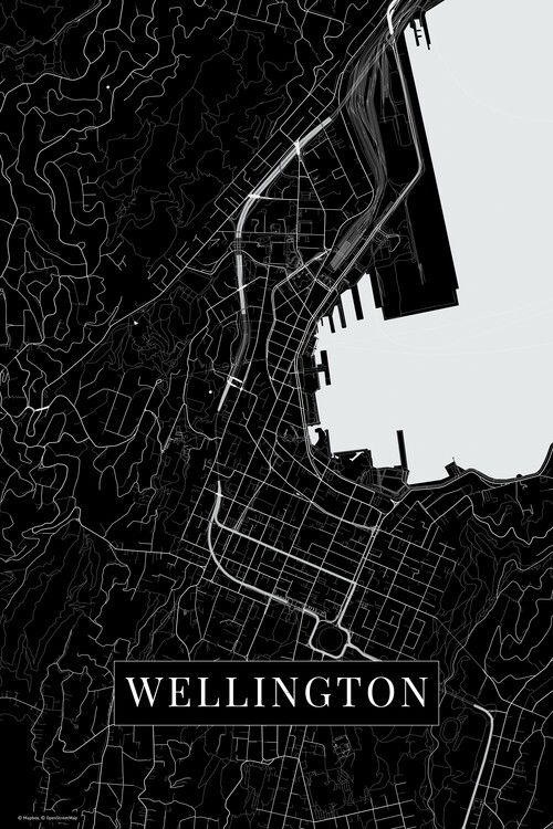 Poster Wellington black