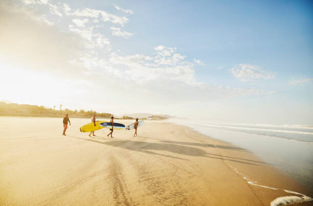 Poster Wide shot of family carrying surfboards