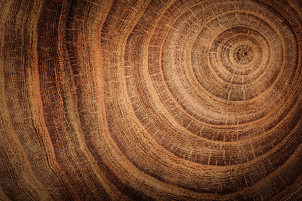 Poster wooden background