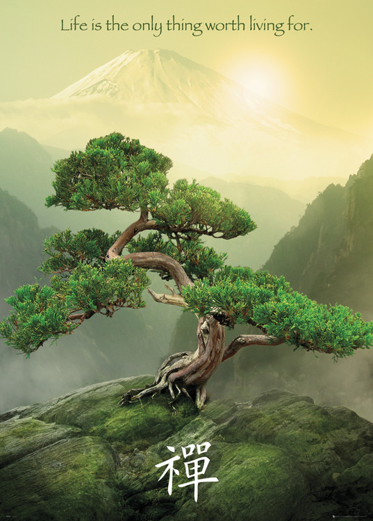Zen Tree Poster Sold at UKposters