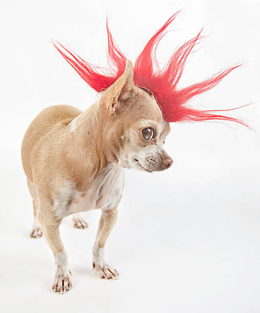 Наклейка punk
