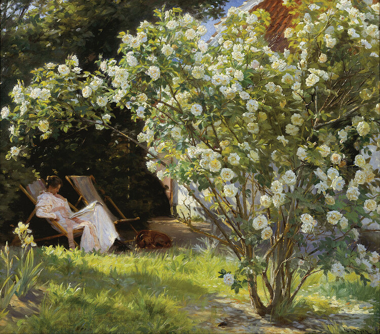 Reprodução do quadro Marie in the Garden (The Roses)