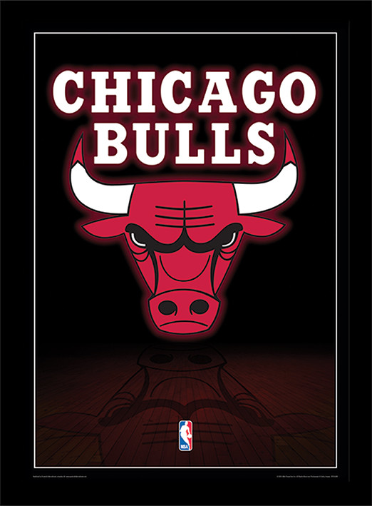 NBA - Chicago Bulls Logo Poster Emoldurado, Quadro em ...