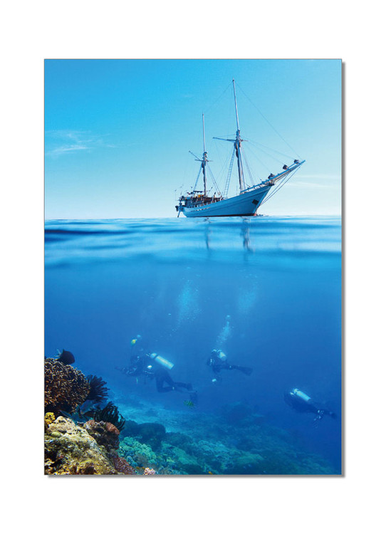 Quadro New Discoveries