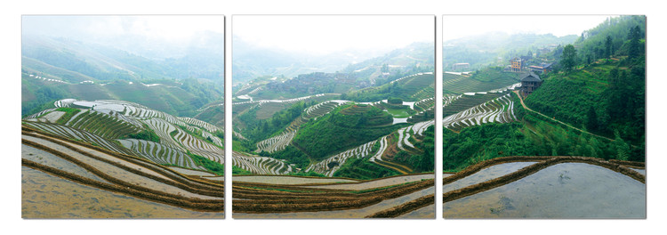 Quadro Plantations on the hills