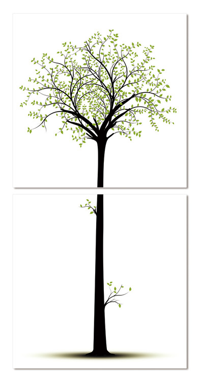 Quadro Silhouette of a tree