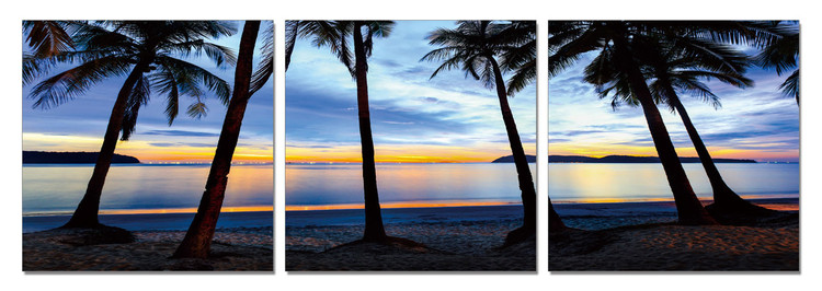Quadro Silhouettes of palm trees on the beach