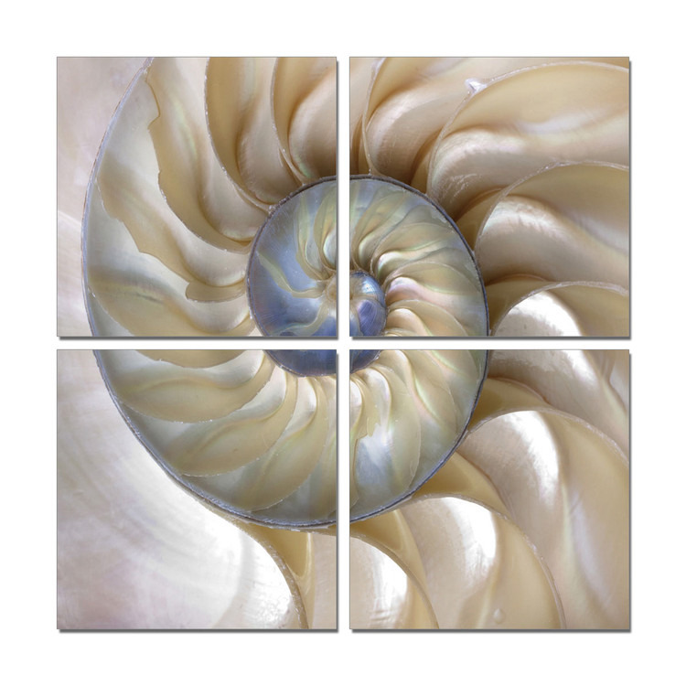 Quadro Spiral staircase