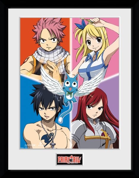 Quadro Fairy Tail Anime