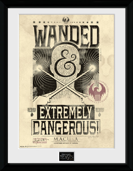 Poster Emoldurado Fantastic Beasts And Where To Find Them - Wanded