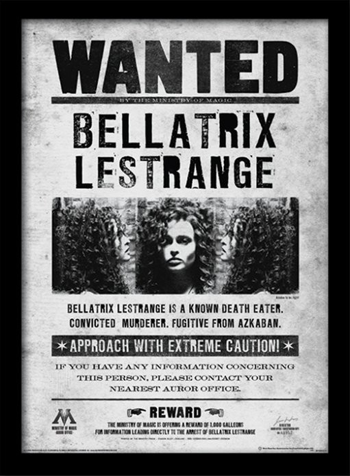 Poster Emoldurado Harry Potter - Bellatrix Wanted