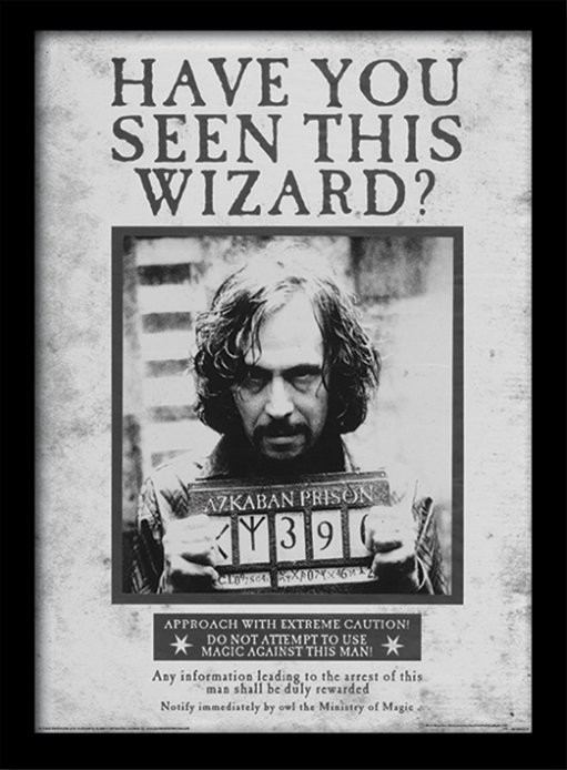 Poster Emoldurado Harry Potter - Sirius Wanted