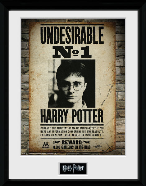 Poster Emoldurado Harry Potter - Undesirable No 1