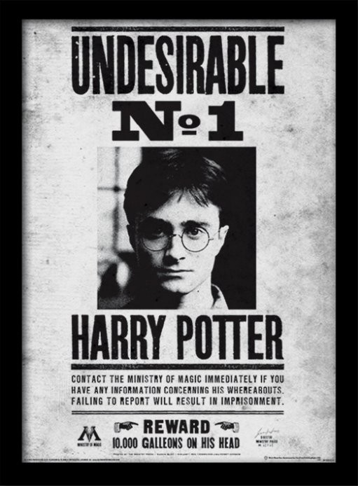 Poster Emoldurado Harry Potter - Undesirable No1