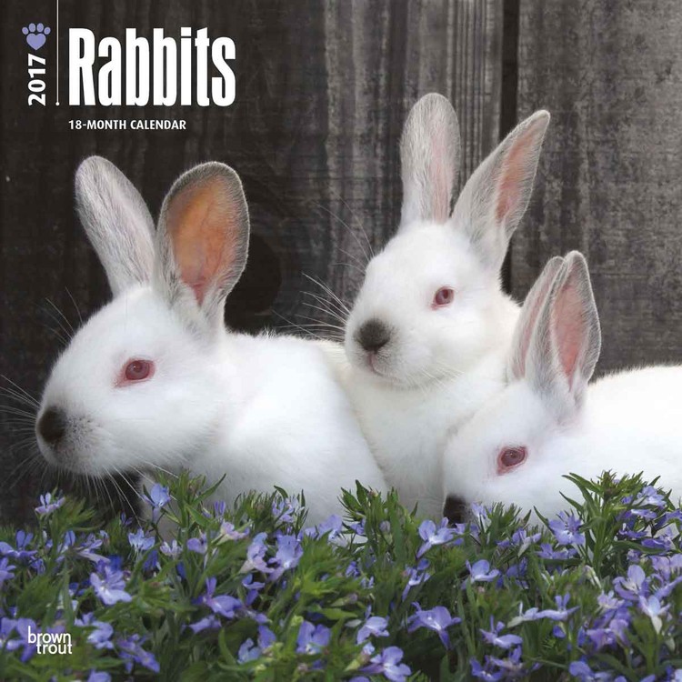 Calendar 2021 Rabbits