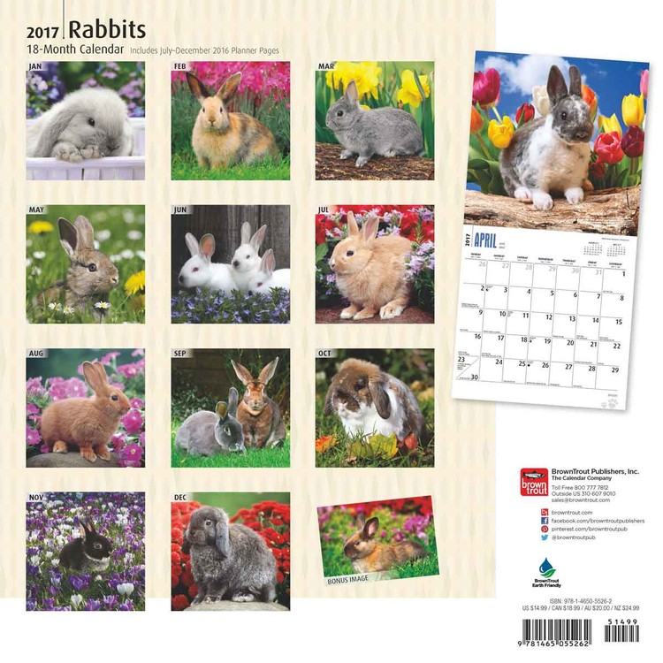 Calendar 2021 Rabbits