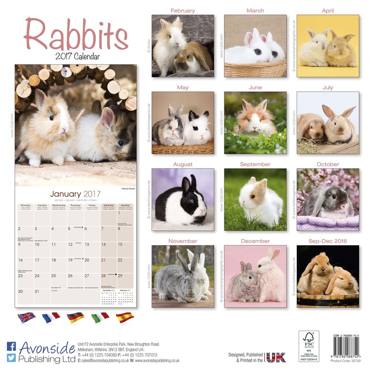 Calendar 2021 Rabbits