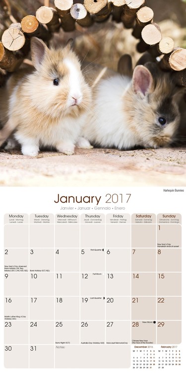 Calendar 2021 Rabbits