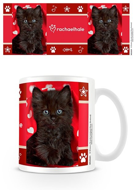 Mug Rachael Hale - Raven