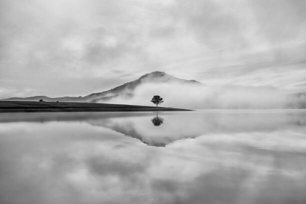 Αυτοκόλλητο Reflective trees on the lake