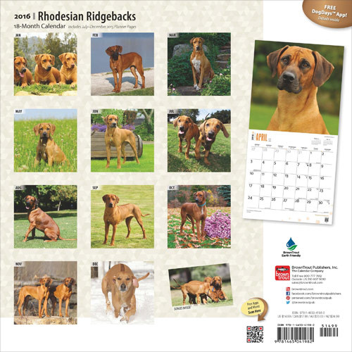 Calendar 2021 Rhodesian Ridgebacks