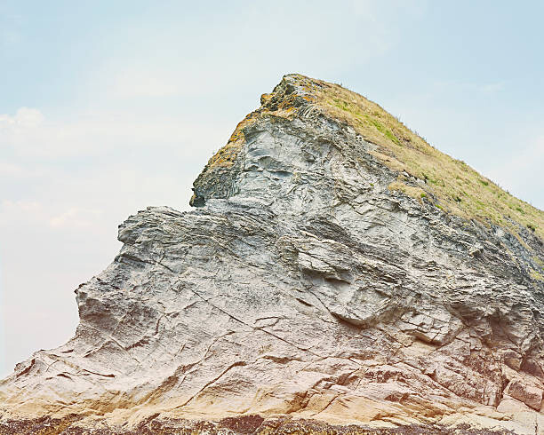 Μπλουζάκι Rock & grass