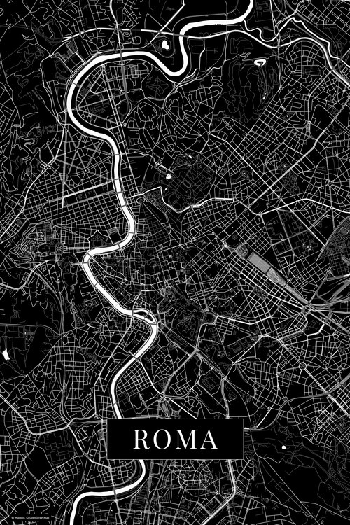 Фотошпалери Roma black