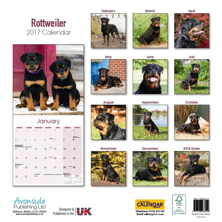Calendar 2021 Rottweiler
