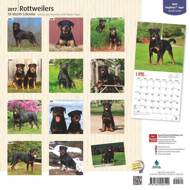 Calendar 2021 Rottweilers
