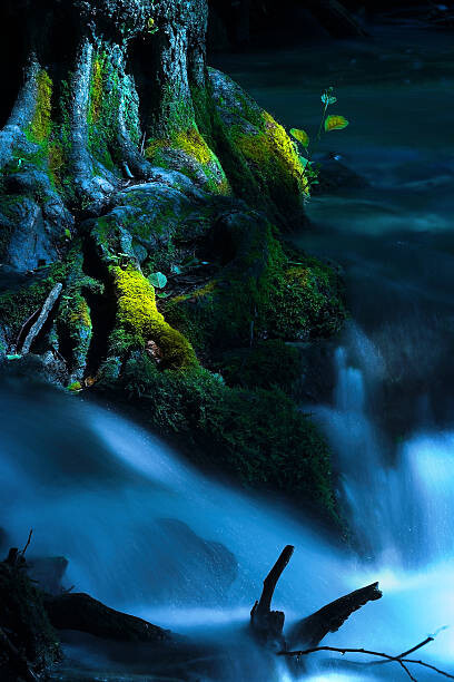 Stenska nalepka Running creek
