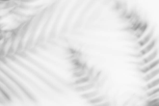 Αυτοκόλλητο Shadows from tropical leaves
