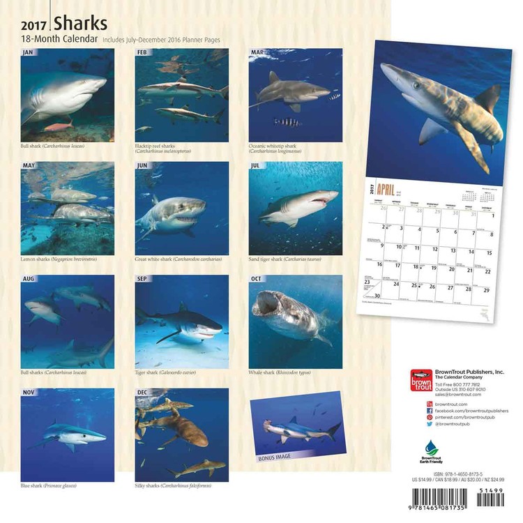 Calendar 2021 Sharks
